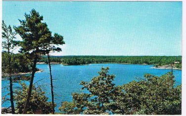 Ontario Postcard Trees By Lake