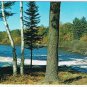 Ontario Postcard Birch Trees By Lake Whitewater
