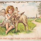 Christmas Postcard Angel With Lamb