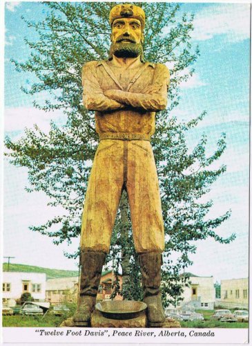 Alberta Postcard Peace River Twelve Foot Davis
