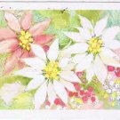 Christmas Postcard Poinsettia Pink & White