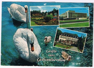 Germany Postcard Grube aus Gelsenkirchen Multi View Swans