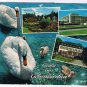 Germany Postcard Grube aus Gelsenkirchen Multi View Swans