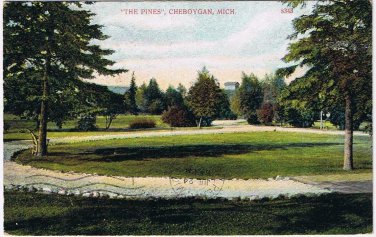 Michigan Postcard Cheboygan The Pines Bosselman Germany