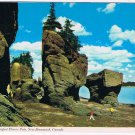 New Brunswick Postcard World's Largest Flower Pots