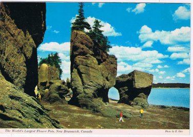 New Brunswick Postcard World's Largest Flower Pots