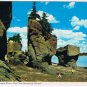 New Brunswick Postcard World's Largest Flower Pots