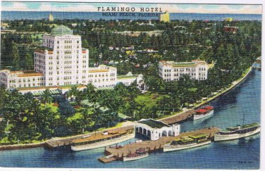 Florida Postcard Miami Flamingo Hotel