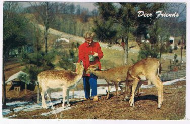 Ontario Postcard Cobourg Greetings Deer Friends