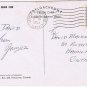 British Columbia BC Postcard Bear Cub