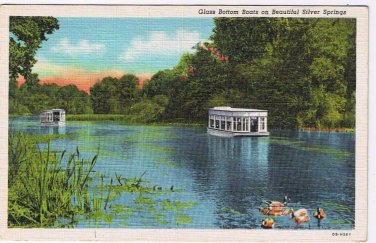 Florida Postcard Silver Springs Glass Bottom Boat
