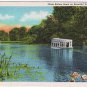 Florida Postcard Silver Springs Glass Bottom Boat