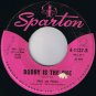 Paul & Paula Hey Paula 45 rpm Bobby Is The One Canadian Pressing
