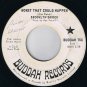 Brooklyn Bridge Worst That Could Happen 45 rpm Your Kite My Kite Canadian Press