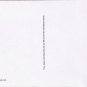 Postcard Burdock Blood Bitters Art Advertising