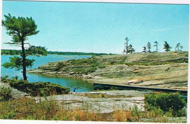 Ontario Postcard Rocky Shoreline Tree Lake