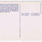 Postcard Ocean Floor Photographer Marine Studios Marineland Florida