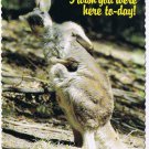 Australia Postcard Kangaroo Itching To Say Wish You Were Here