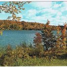 Ontario Postcard Autumn Leaves Trees By Lake