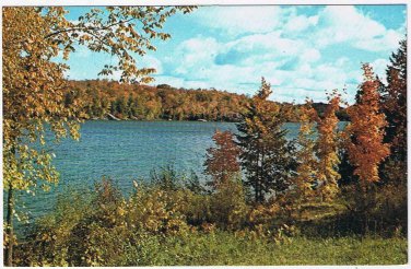 Ontario Postcard Autumn Leaves Trees By Lake