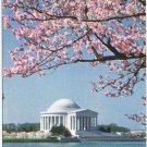 District Of Columbia Postcard Washington Jefferson Memorial Cherry Blossom