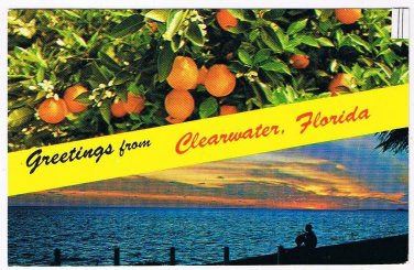 Florida Postcard Clearwater Beach Oranges Sunsey