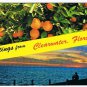 Florida Postcard Clearwater Beach Oranges Sunsey