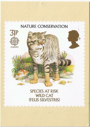 United Kingdom Postcard Stamps Nature Species At Risk 1986 31p Wild Cat