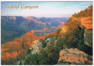 Arizona Postcard Grand Canyon Sunlight