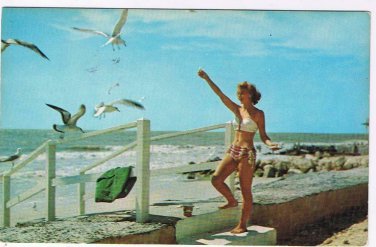 Quebec Postcard Shawinigan Bather & Sea Gulls