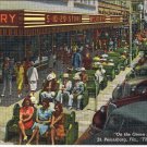 Florida Postcard St Petersburg On The Green Benches Sunshine City