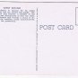 Florida Postcard St Petersburg On The Green Benches Sunshine City