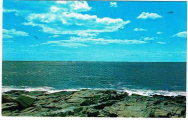 Maine Postcard Ocean Park