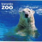 Ontario Postcard Toronto Zoo Polar Bear