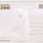 Ontario Postcard Toronto Zoo Polar Bear