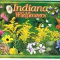 Indiana Postcard Wildflowers