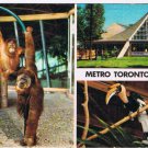 Ontario Postcard Metro Toronto Zoo Orangutans Hornbill