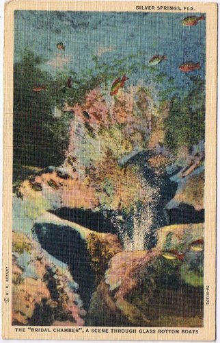 Florida Postcard Silver Springs Bridal Chamber Through Glass Bottom Boat