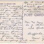 Florida Postcard Flamingo Nesting
