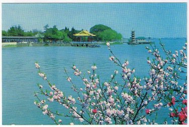 Postcard Spring Comes To Li Yuan Li Garden China