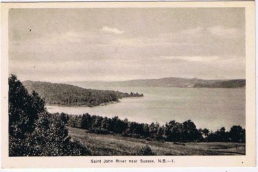 New Brunswick Postcard RPPC Saint John River Near Sussex