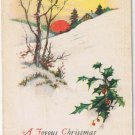 Postcard A Joyous Christmas Across The Glistening Ice & Snow
