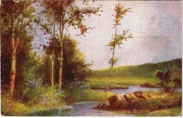 Art Postcard Stratford Ontario Budding Spring 1908 VINTAGE