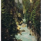 British Columbia Postcard Capilano North Vancouver 2nd Canyon Below Canyon View