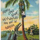 Postcard Honey Come Down We'se Waiting For You In Florida Winterhavene