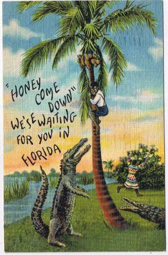 Postcard Honey Come Down We'se Waiting For You In Florida Winterhavene