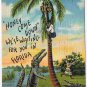 Postcard Honey Come Down We'se Waiting For You In Florida Winterhavene