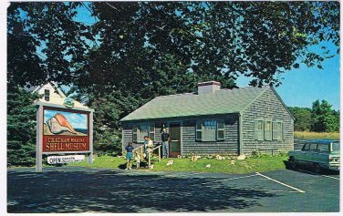 Massachusetts Postcard Chatham On Cape Cod Marine Shell Museum