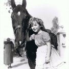 Shirley Temple Press Photo 8x10 Horse