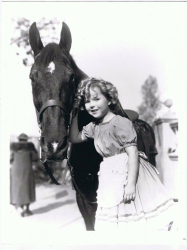 Shirley Temple Press Photo 8x10 Horse